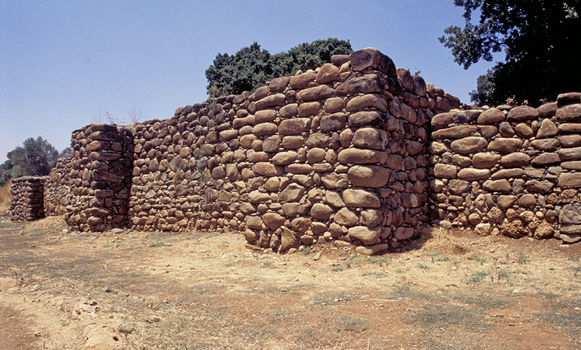The City Walls of Dan. Z.Radovan/BibleLandPictures.com